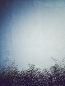 Jan-iPhone-without-calandar